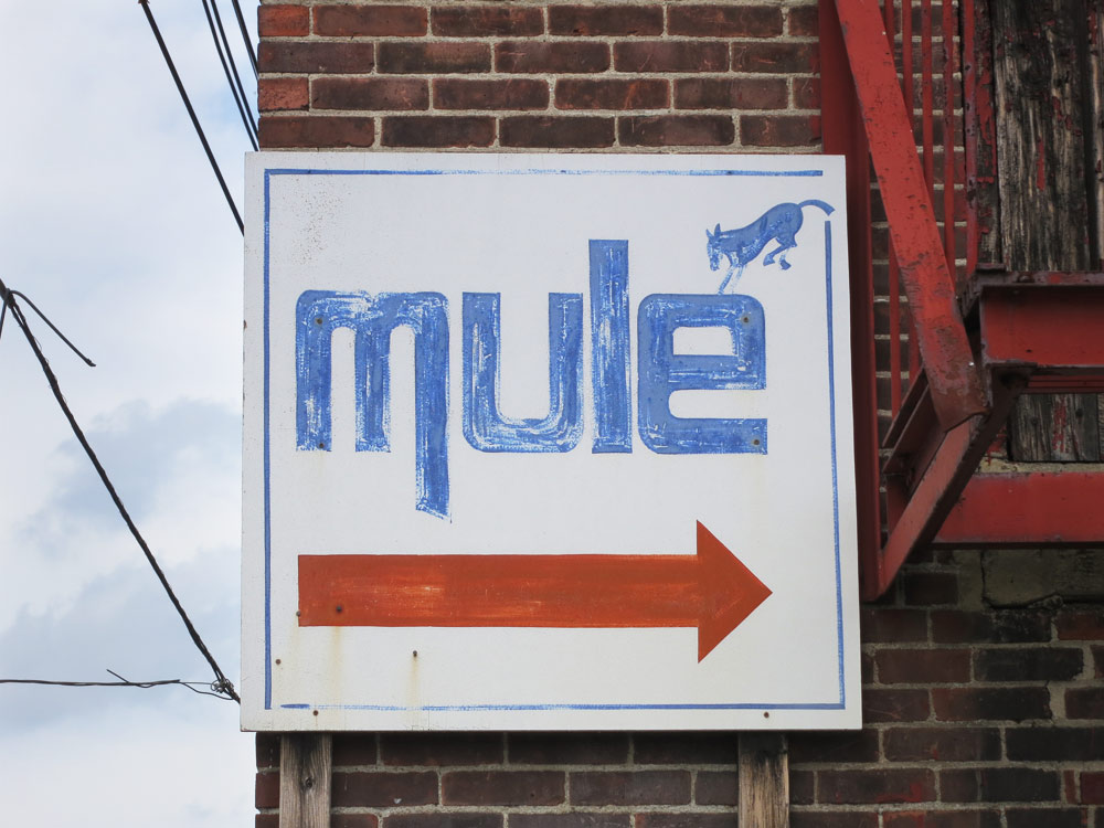 mule_work_web